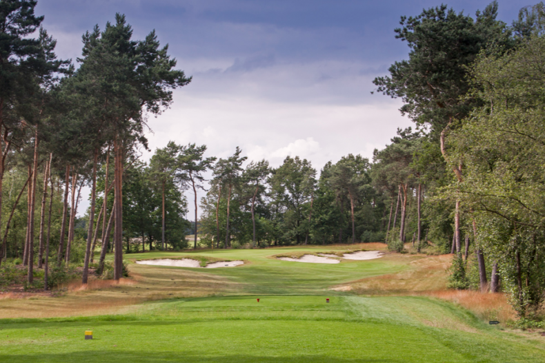 De Swinkelsche in Someren